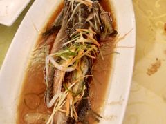 鲟鱼-百姓食府(秦虹路店)