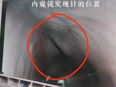 -北京观赏动物医院·24小时大型综合·猫专科·异宠专科