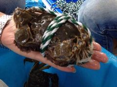 iphone_upload_pic-陈长荣生态大闸蟹(盐城店)