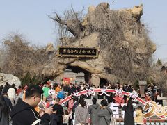 -大槐树寻根祭祖园