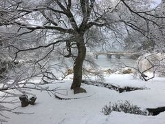 -庐山风景区花径公园