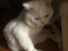 -狐尾山公园
