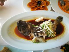 石斑鱼-顺峰(农展馆店)