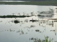 -立新湖公园