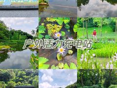 -云溪植物园