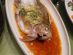 -刘胖子家常菜·蹄花焖藕(中南店)