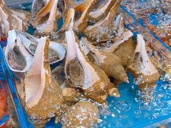 -吴记富苑(朝阳店)