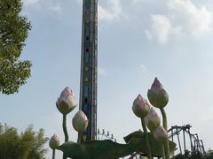 -南京银杏湖乐园