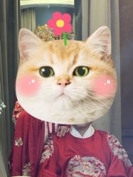 -金夫人婚纱摄影(总店)