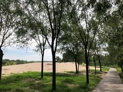 -东郊湿地公园