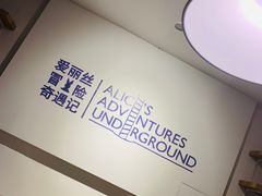 -爱丽丝冒险奇遇记