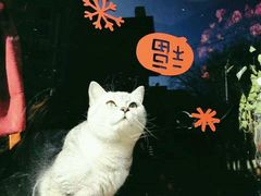 -不舍昼夜咖啡馆
