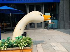 -玛尚诺意式餐厅(官舍店)