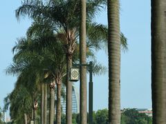 -南宁南湖公园