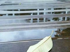 android_upload_pic-广州碧桂园凤悦凤凰城酒店