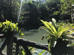 -呀诺达热带雨林