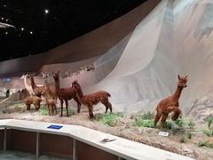-武汉园博园(武汉自然博物馆)