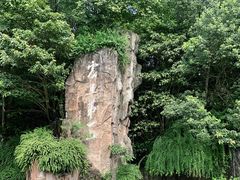 -峨眉山报国寺