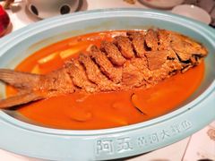 -阿五黄河大鲤鱼(英协路店)