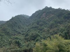 -宁波五龙潭景区