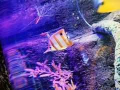 -沈阳海洋探索中心