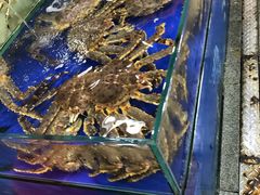 -东江海鲜酒家(艺都分店)