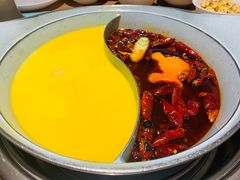 -青瓷火锅料理(西单大悦城店)