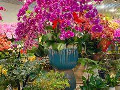 -双季花艺园艺市场(浦东店)