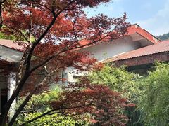 -中国茶叶博物馆(双峰馆区)