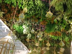 -潮粥荟·潮汕砂锅粥(朝阳大悦城店)