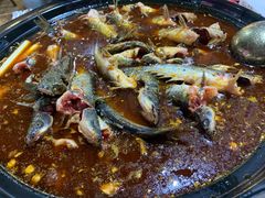 -金海椒罐罐鲢鱼(东方桂苑店)