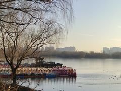 -大兴滨河森林公园