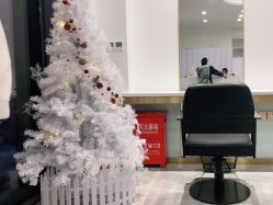 -YESIDO椰岛造型