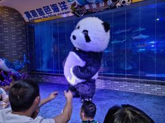 -成都浩海立方海洋公园