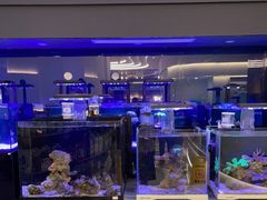 -1013 PET SHOP精品宠物商店(丁香店)