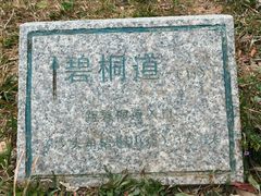 -梧桐山风景名胜区