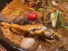 -老板恋上鱼(振华商厦店)