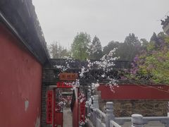 -潭柘寺景区