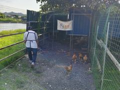 -粮心小农·大头虾亲子生态园(长发店)