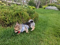 -天宠宠物医院24小时·急重症诊疗中心·全科·腔镜特色(和平分院)