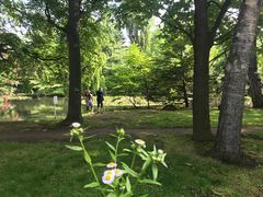 -北海道厅旧本厅舍(旧本庁舎)