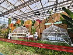 -兰陵国家农业公园