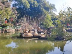 -东湖落雁景区