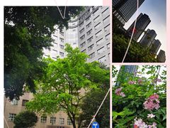 -重庆医科大学附属第一医院(本部)