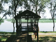 -洪湖生态旅游区