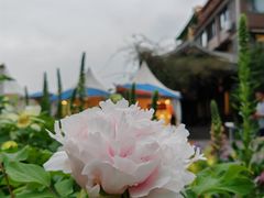 -成都市文化公园