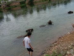 -杭州双溪漂流景区