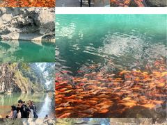 -楠溪江风景名胜区