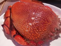 -上宴精品海鲜姿造(晶融汇旗舰店)