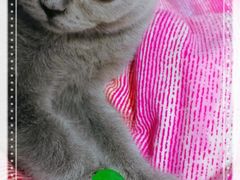 -爱康国宾体检中心(杭州滨江江南大道分院)